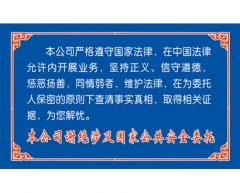 侦探公司 侦探公司